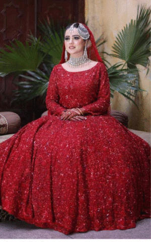 Elegant Red Lehenga